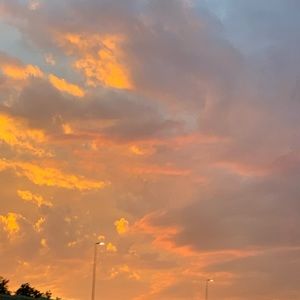 Meet your Posher, Brooklyn